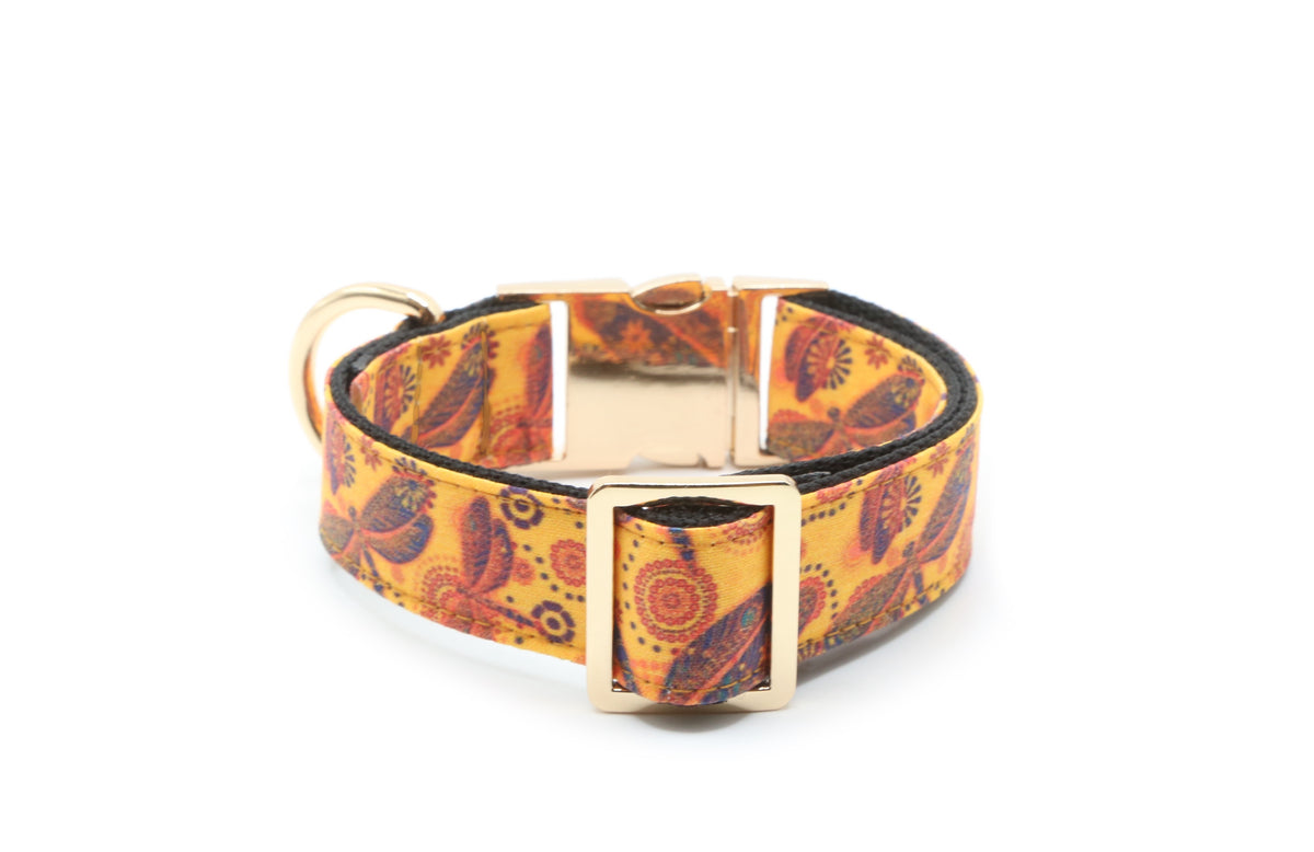 Boho Golden Dragonfly Dog Collar