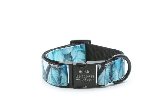 Blue Feathers dog collar