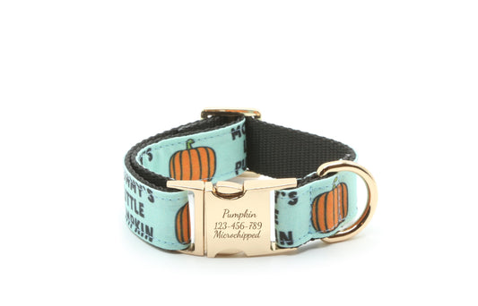Mommy’s Little Pumpkin Dog Collar