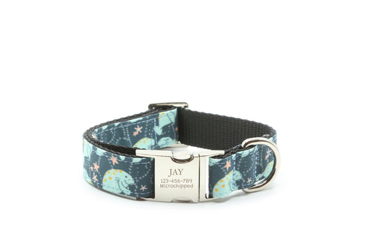 Manatee & Starfish Dog Collar