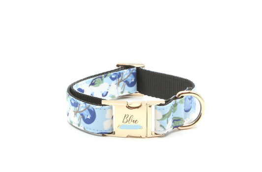 Blueberry floral dog collar