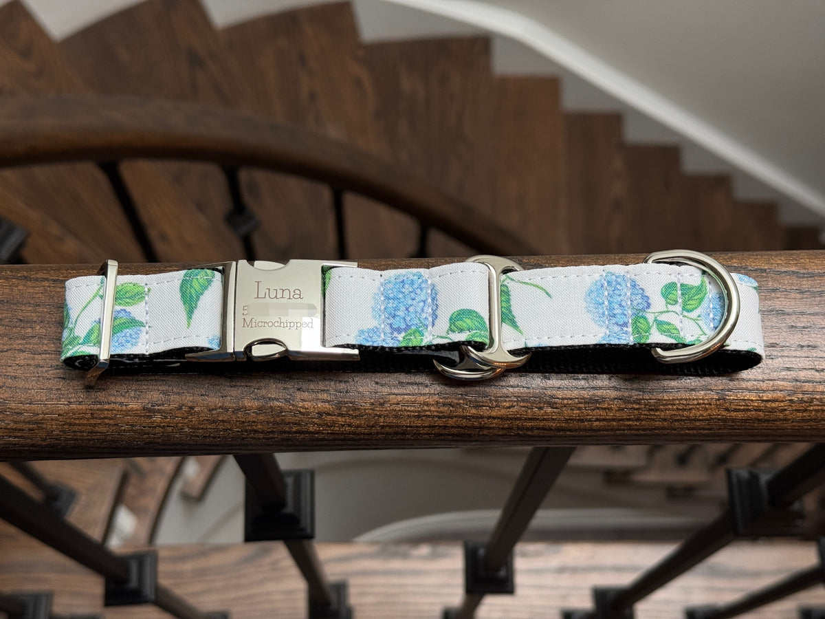 Blue Hydrangea Dog Collar