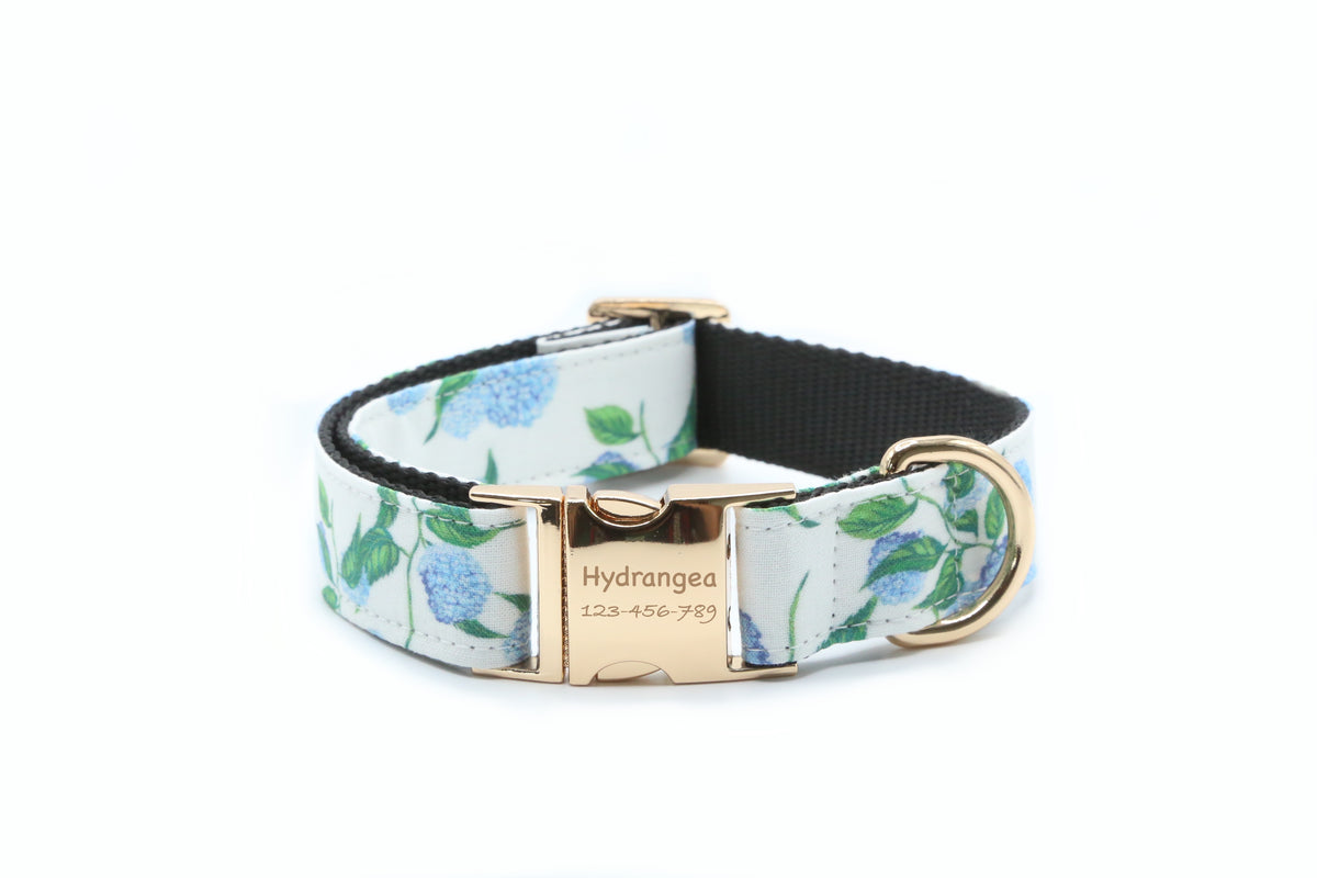 Blue Hydrangea Dog Collar