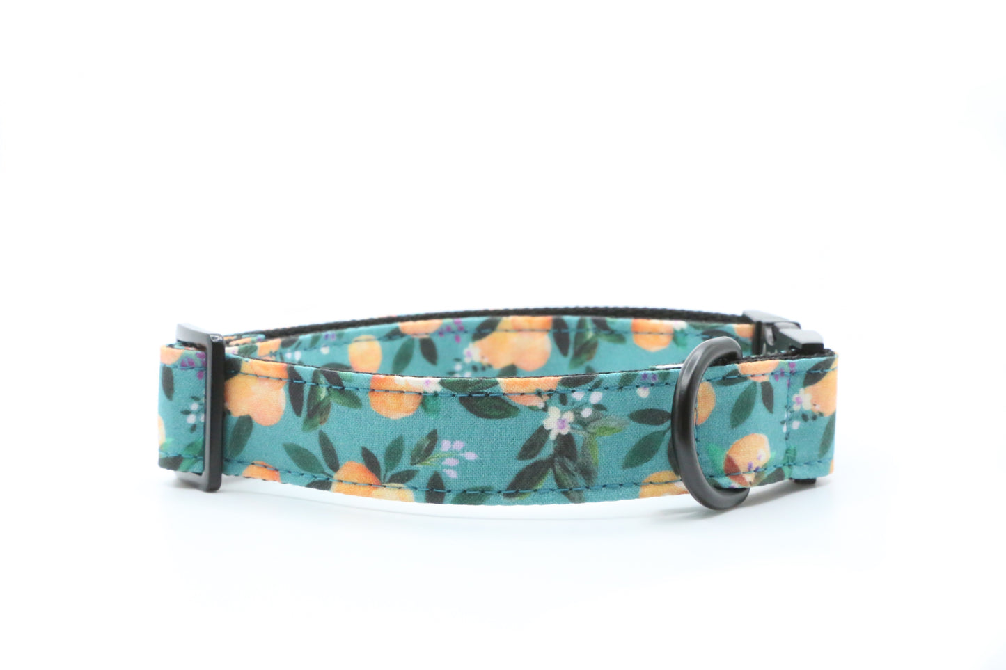 Clenmentine dog collar
