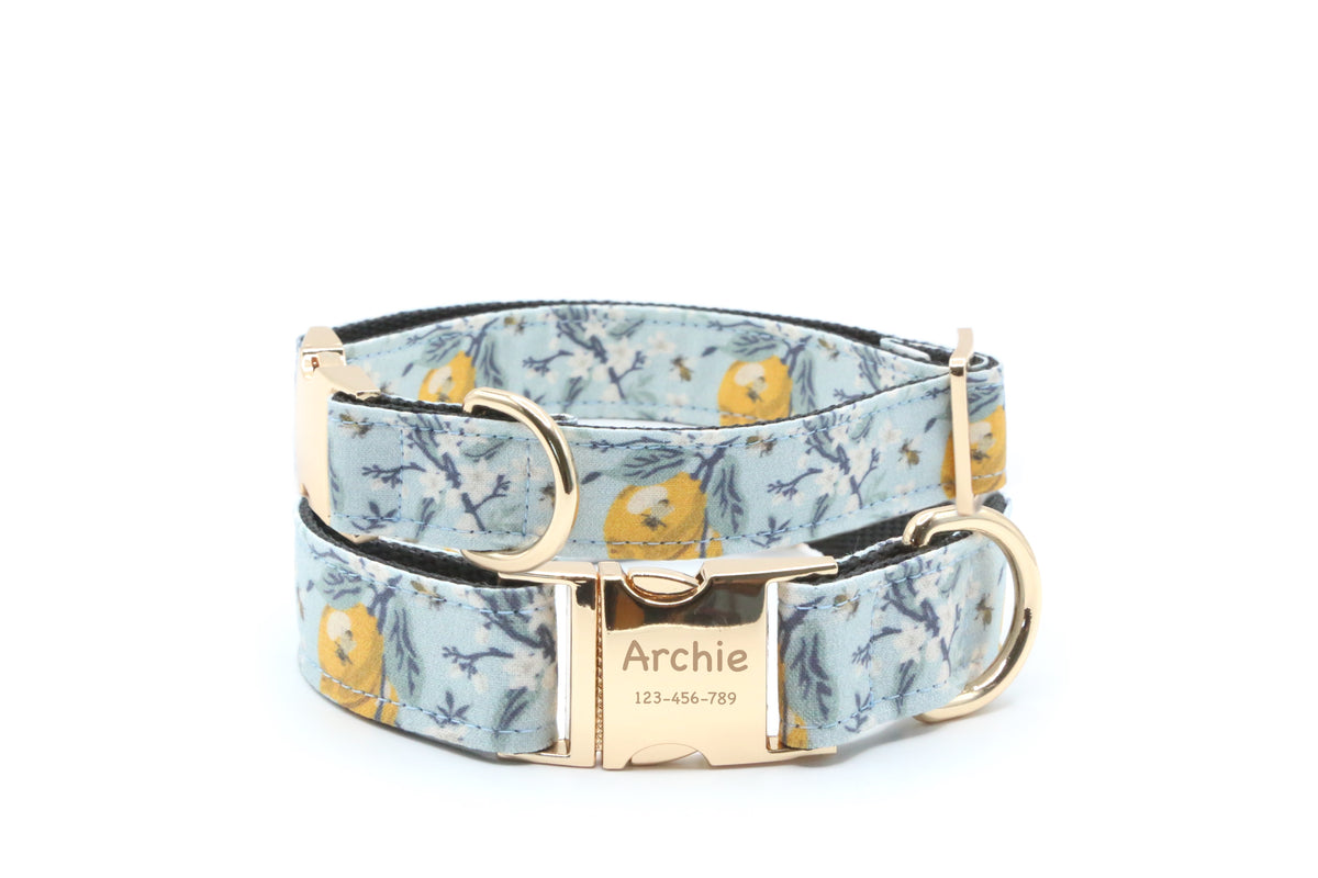 Lemon Blossom Dog Collar