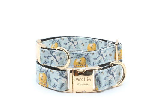 Lemon Blossom Dog Collar