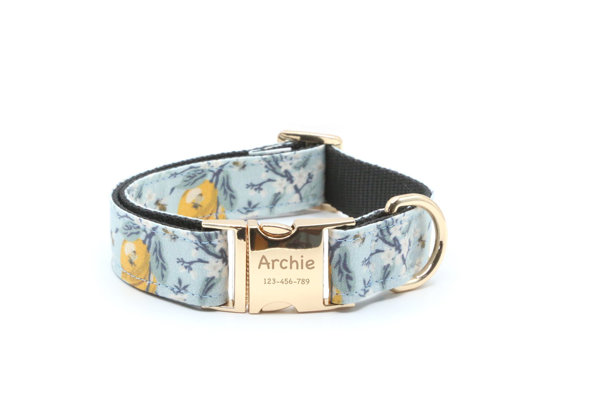 Lemon Blossom Dog Collar