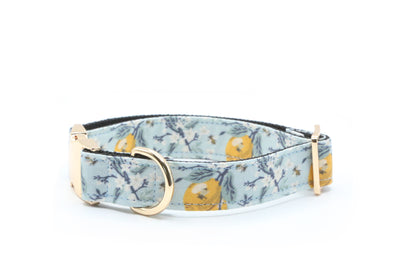 Lemon Blossom Dog Collar