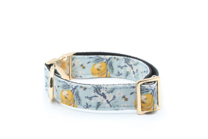 Lemon Blossom Dog Collar