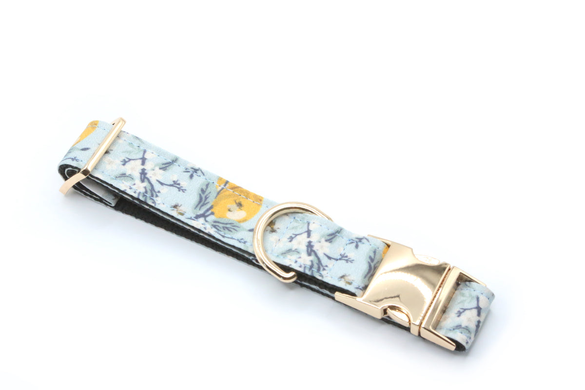 Lemon Blossom Dog Collar
