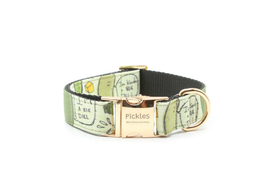 Kind of a Big Dill Dog Collar