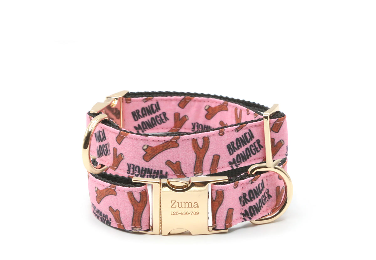 Branch Manager dog collar