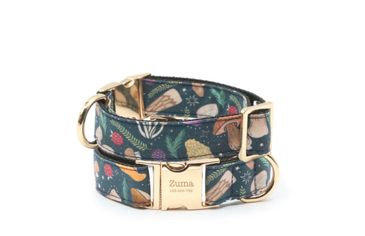 Woodland Foraging Mushroom & Berry Dog Collar
