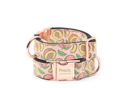 Peachy Pink Dog Collar