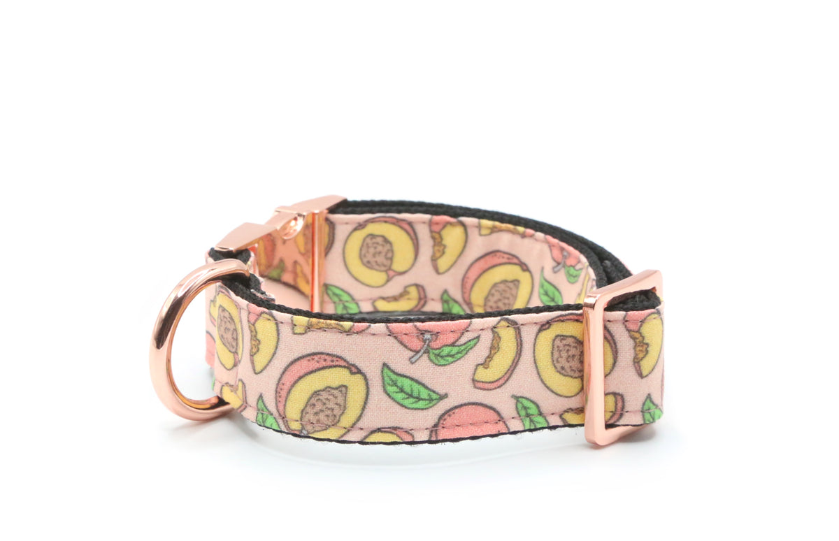 Peachy Pink Dog Collar