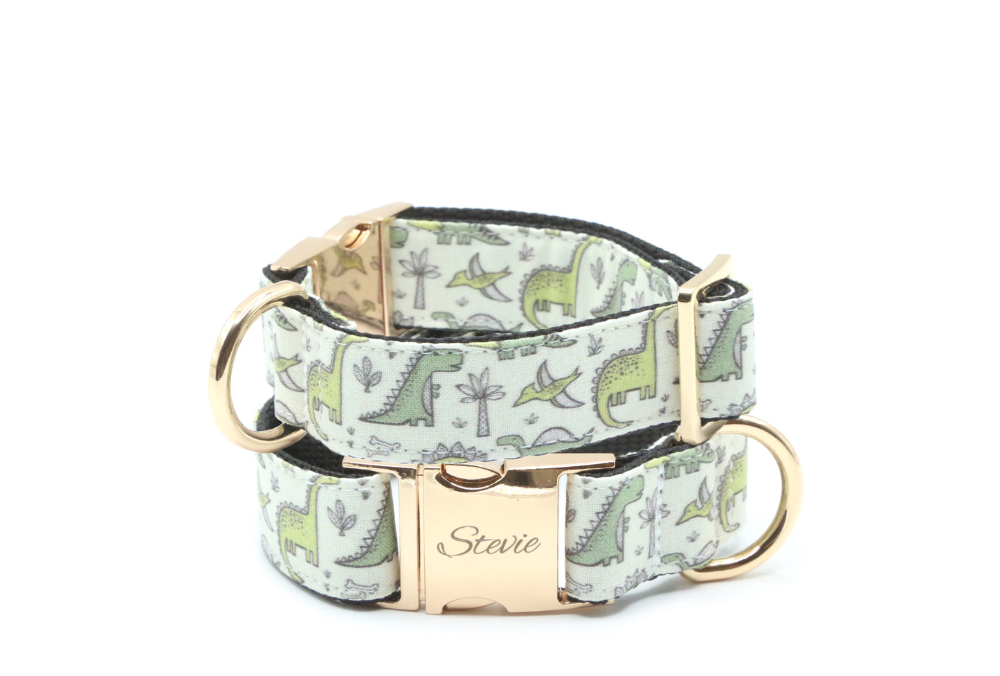 Dinosaur dog collar