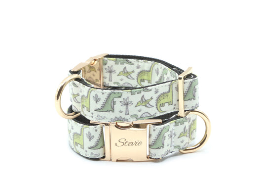Dinosaur dog collar