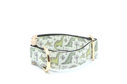 Dinosaur dog collar