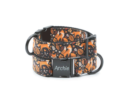 Autumn Fox Dog Collar