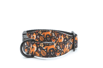 Autumn Fox Dog Collar