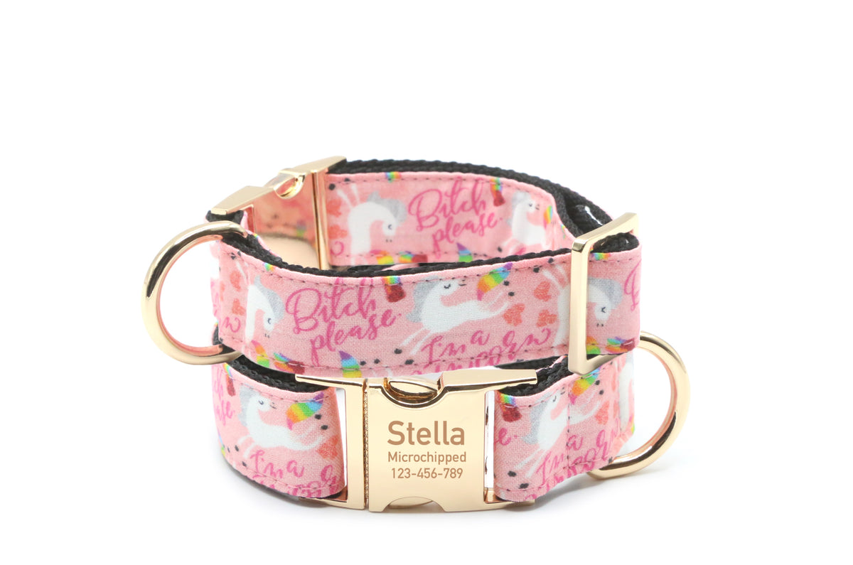 Bitch Please, I’m a Unicorn Dog Collar