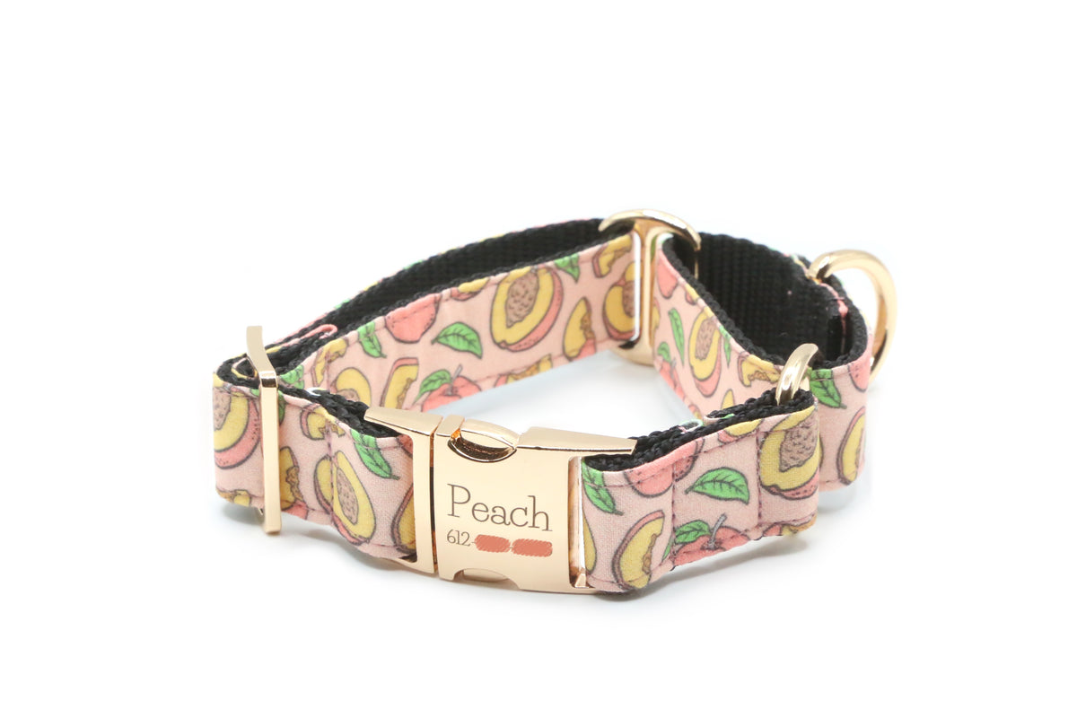 Peachy Pink Dog Collar