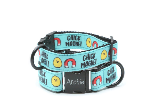 Chick Magnet dog collar