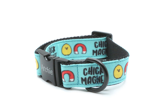 Chick Magnet dog collar
