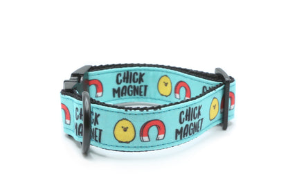 Chick Magnet Funny Dog Collar