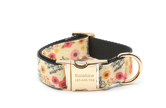 Ray of Fucking Sunshine Dog Collar