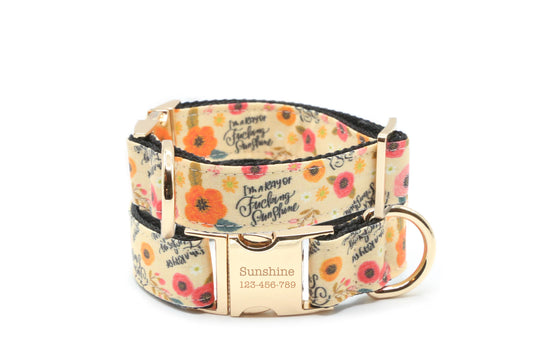 Ray of Fucking Sunshine Dog Collar