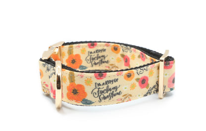 Ray of Fucking Sunshine Dog Collar