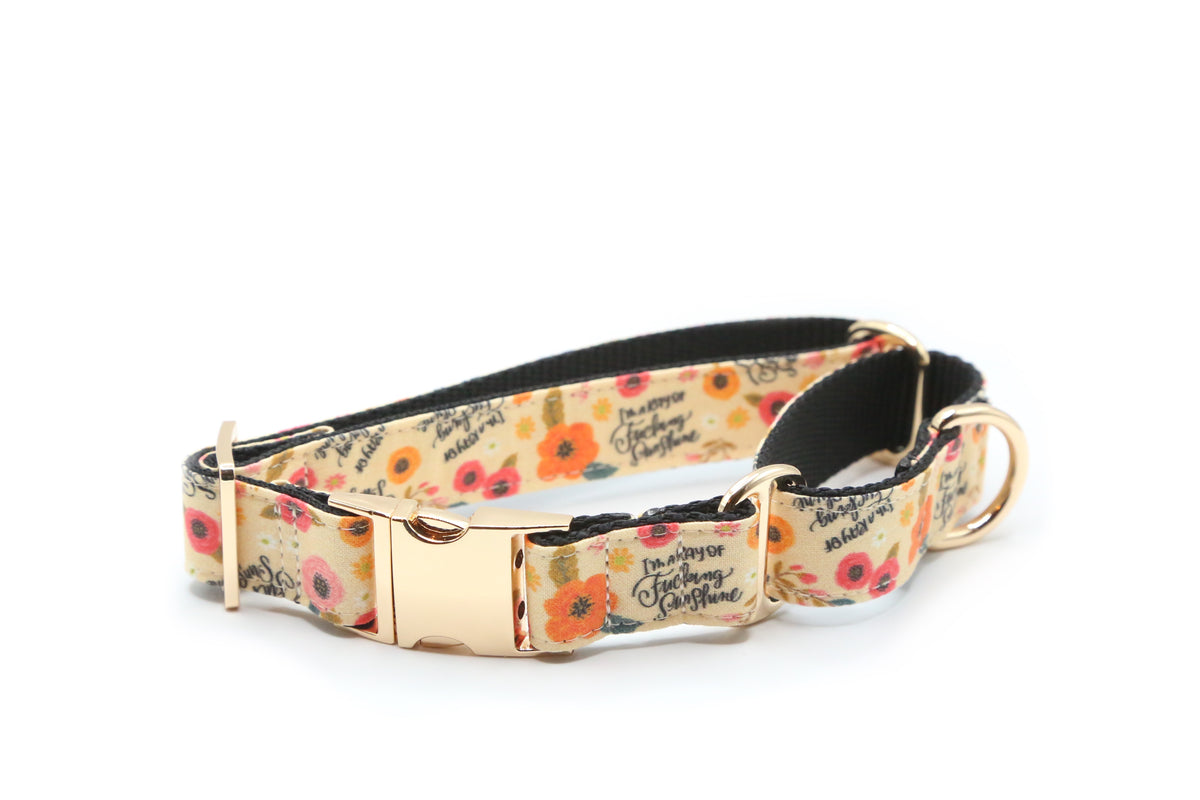 Ray of Fucking Sunshine Dog Collar