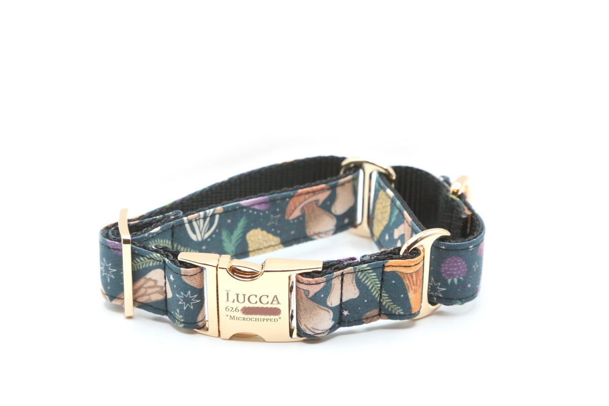 Woodland Foraging Mushroom & Berry Dog Collar