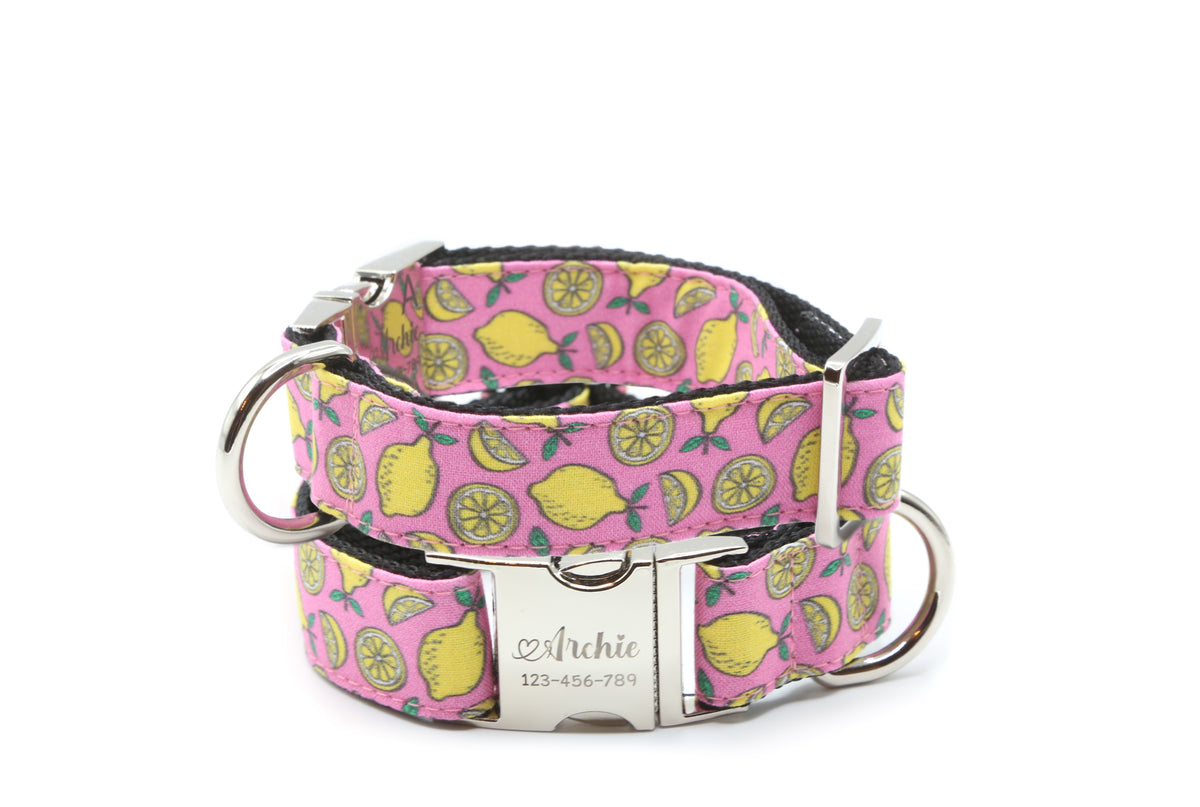 Sweet Lemon Dog Collar