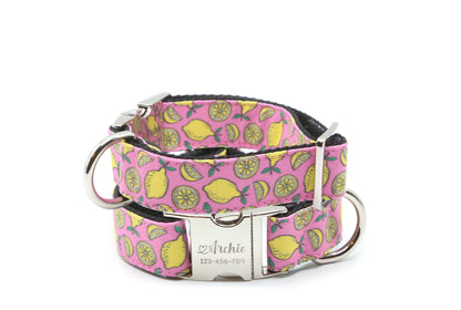Sweet Lemon Dog Collar