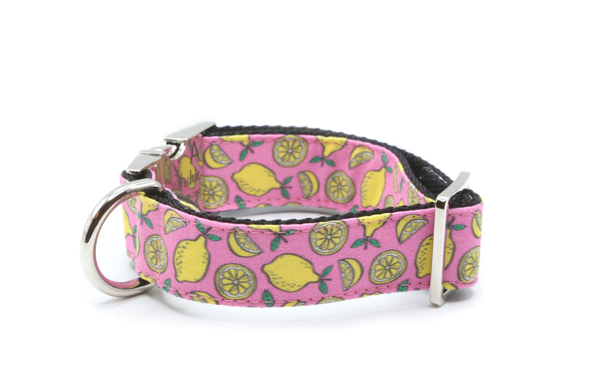 Sweet Lemon Dog Collar