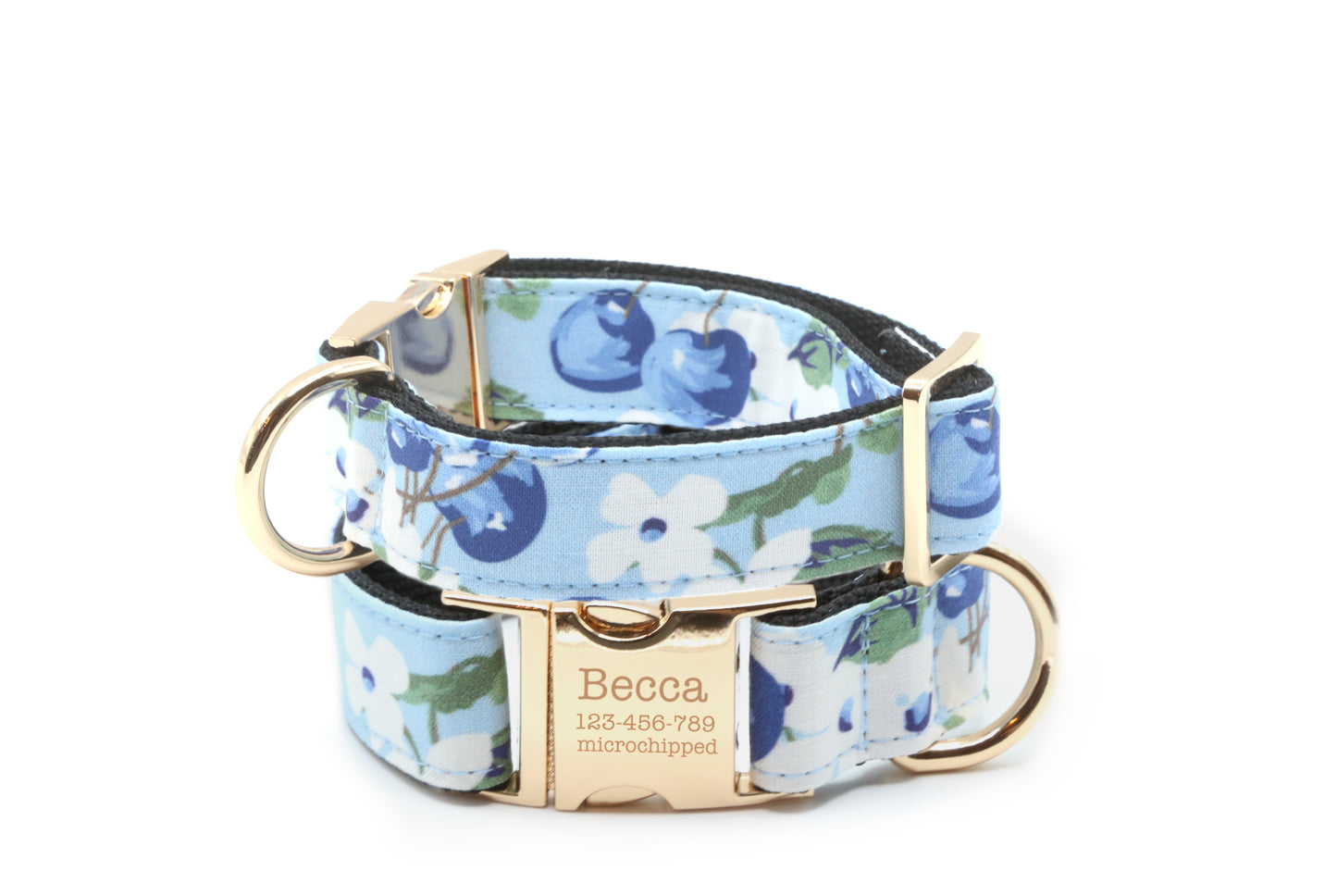 Blueberry floral dog collar