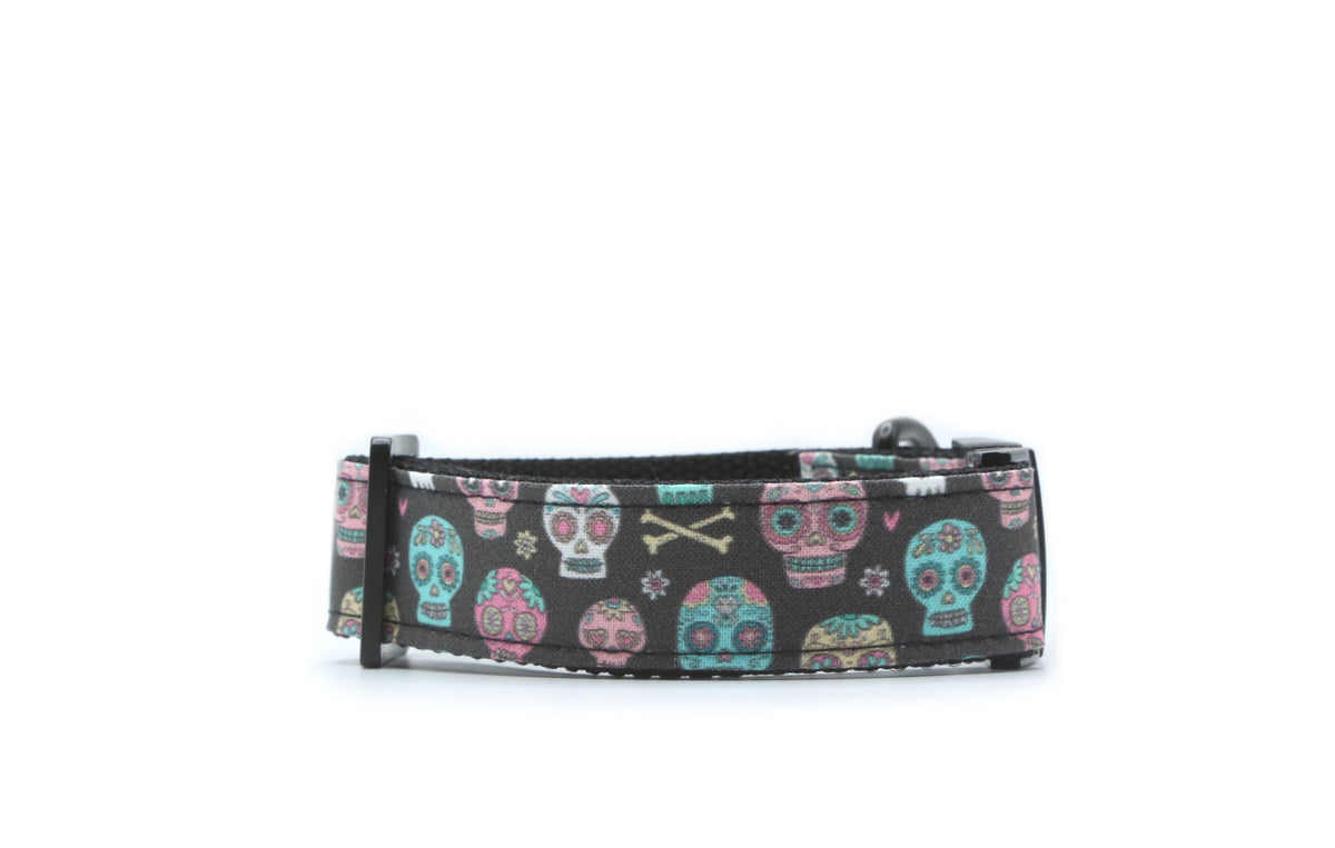 La Catrina Skull Dog Collar