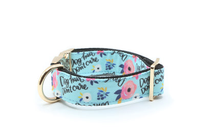 Dog Hair Don't Care dog collar