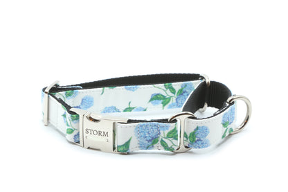 Blue Hydrangea Dog Collar