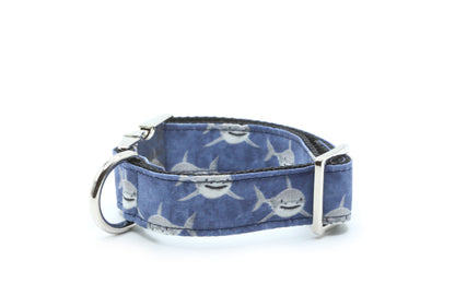 Watercolor Great White Shark Dog Collar