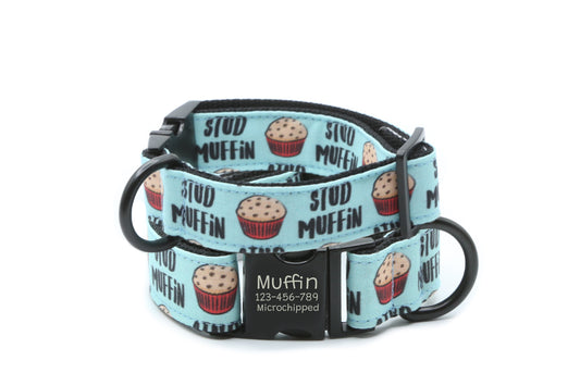 Stud Muffin Cupcake Dog Collar