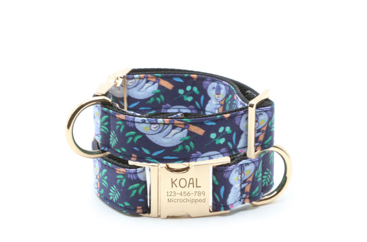 Koala Hugs Dog Collar