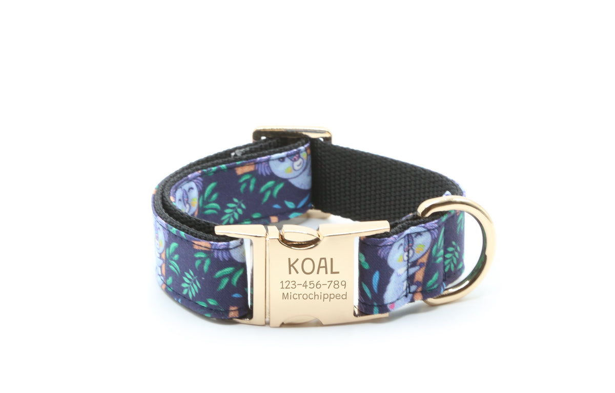 Koala Hugs Dog Collar