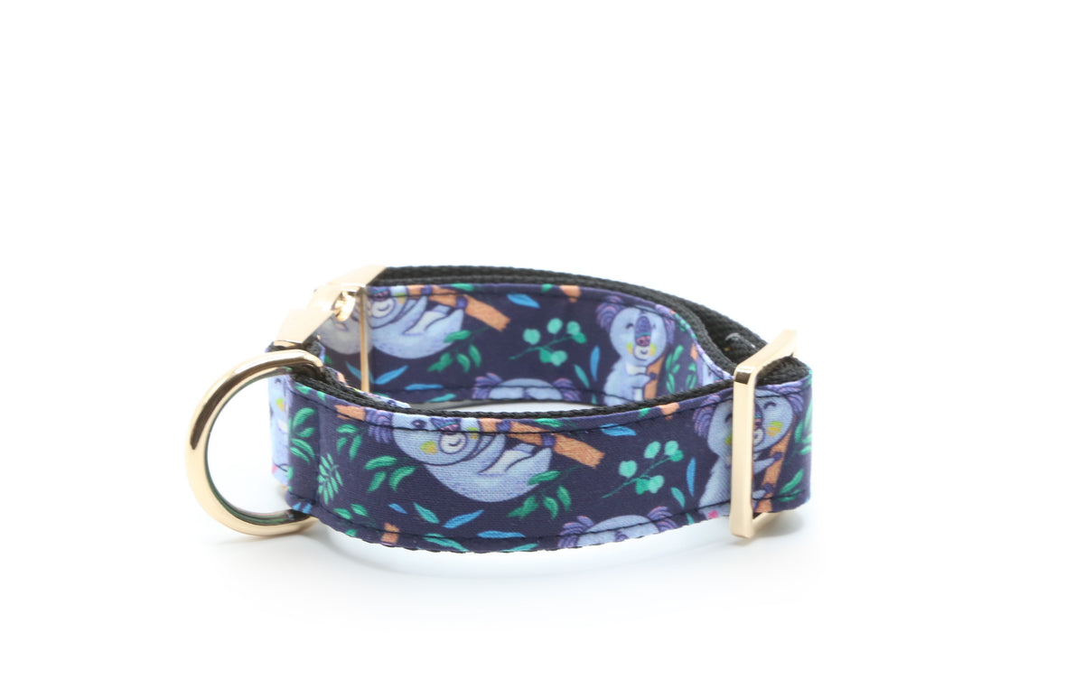 Koala Hugs Dog Collar