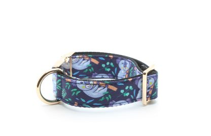 Koala Hugs Dog Collar