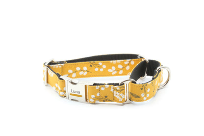 Dandelion Dreams dog collar