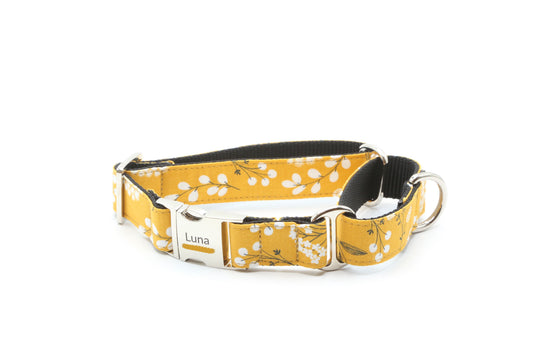 Dandelion dog collar