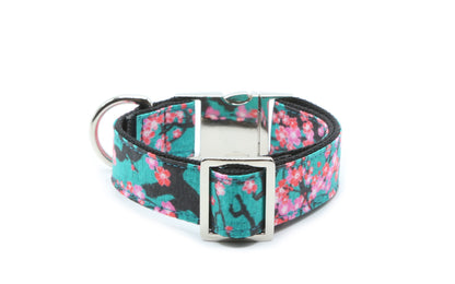 Japanese Cherry Blossom Dog Collar